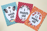 Forest Animal Premature Baby Journey Cards ®