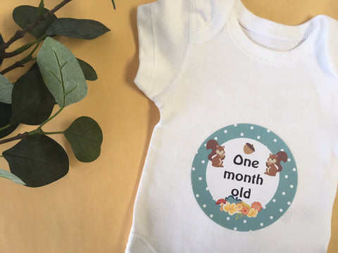 Monthly Journey Stickers - Forest Animals