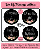 Monthly Journey Stickers - Chalkboard Floral