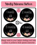 Monthly Journey Stickers - Chalkboard Floral
